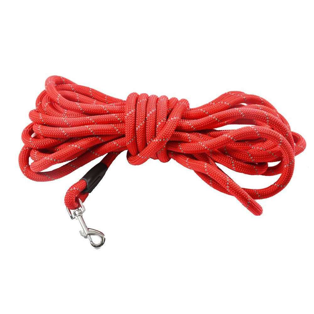 Longe pour Chien 10M Walk Rouge