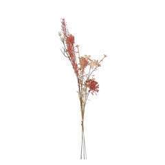 Fleurs artificielles : Bouquet fleurs sechées H.53 cm rouge