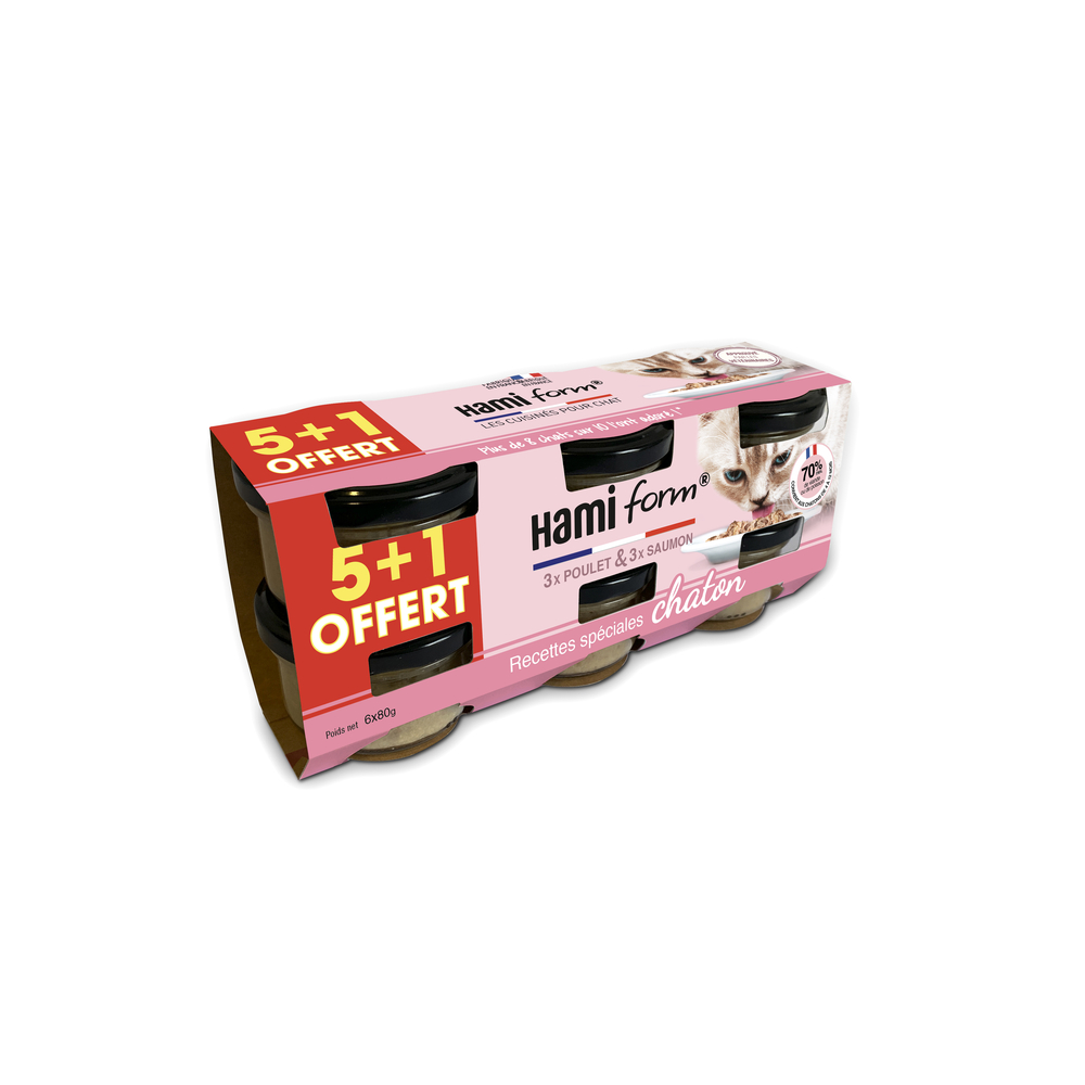 PACK DE 6 POTS CHATON-(931750)