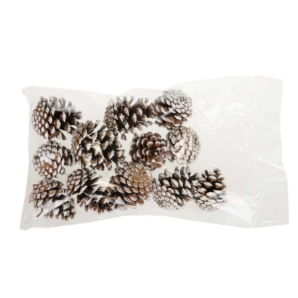 Pommes de pin - 200gr