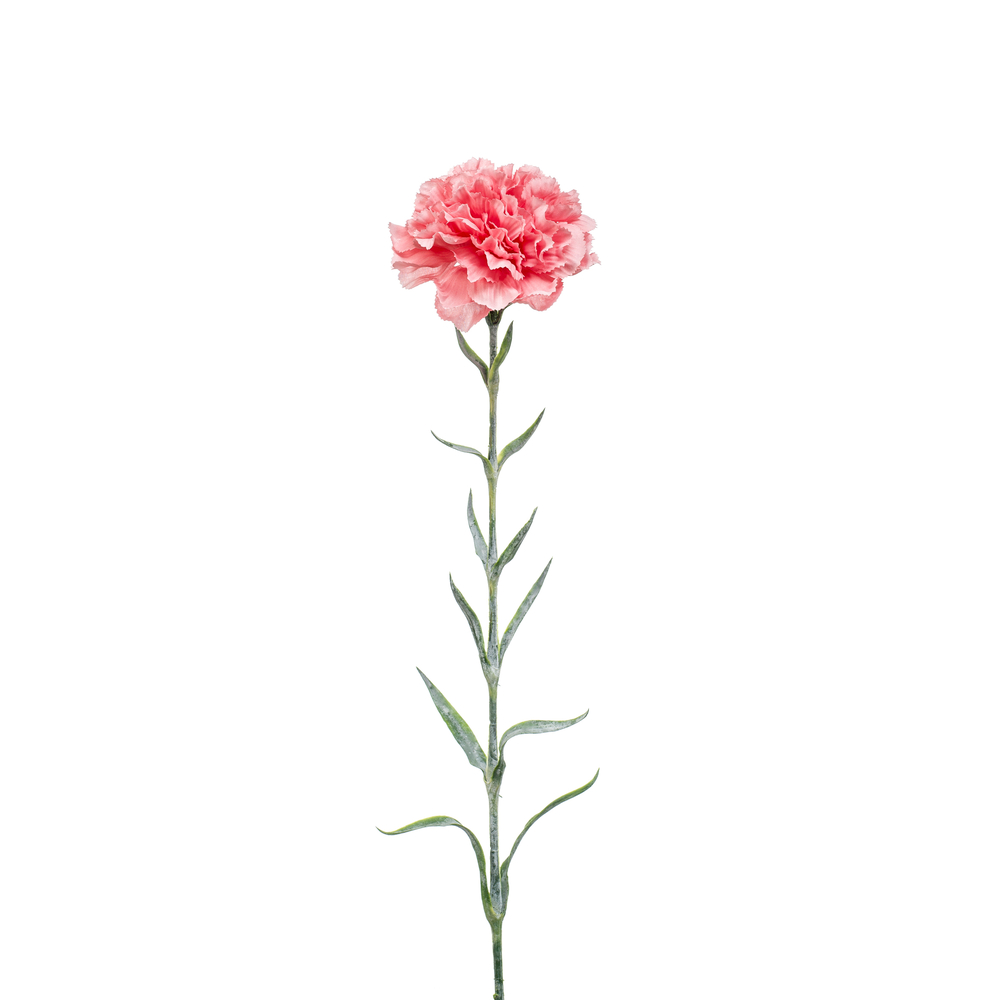 Fleur artificielle, tige d'œillet - H.67cm