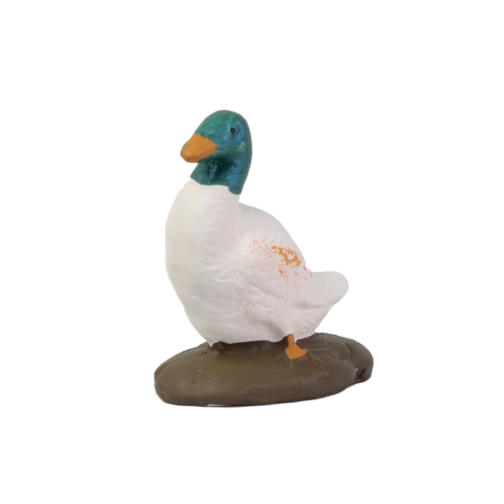 CANARD-(936560)