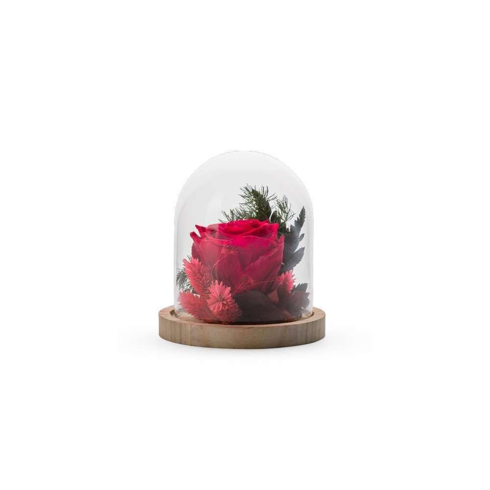 Verrine StabilisÃ©e Cloche S Mix Rouge