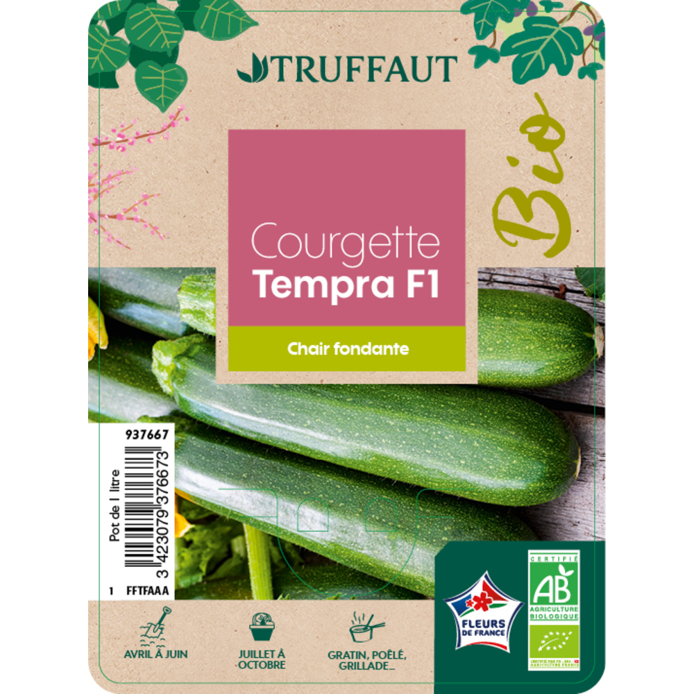 Plants de courgettes 'Tempra' F1 bio: pot 1 litre
