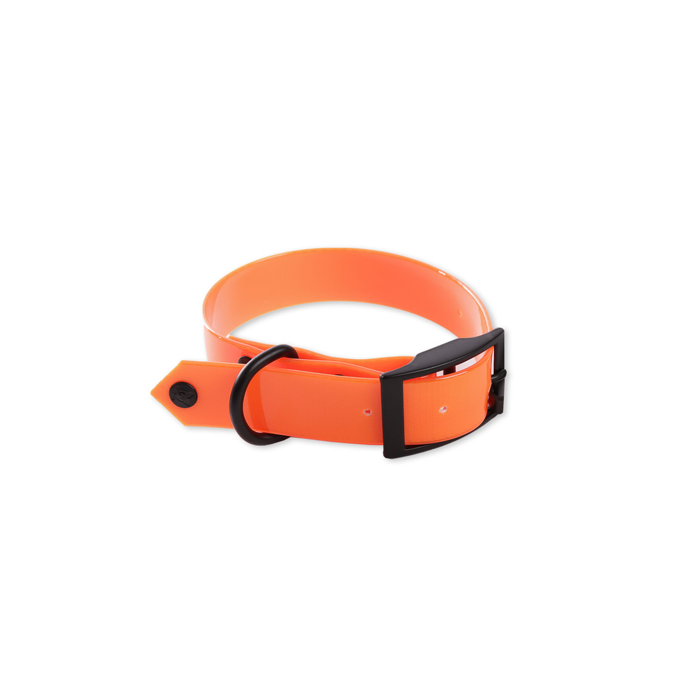 Collier fluo pour chien de chasse, coloris orange - 25/45cm