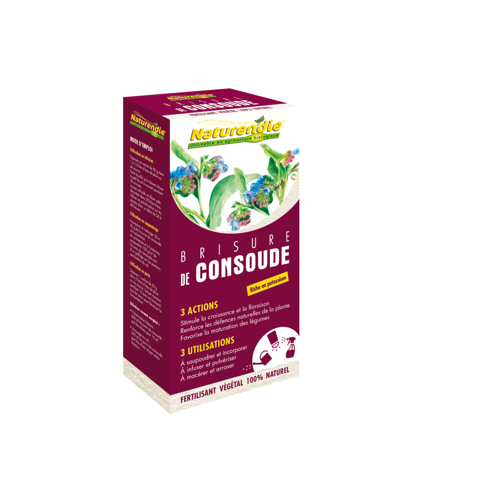 BRISURE DE CONSOUDE-(948742)
