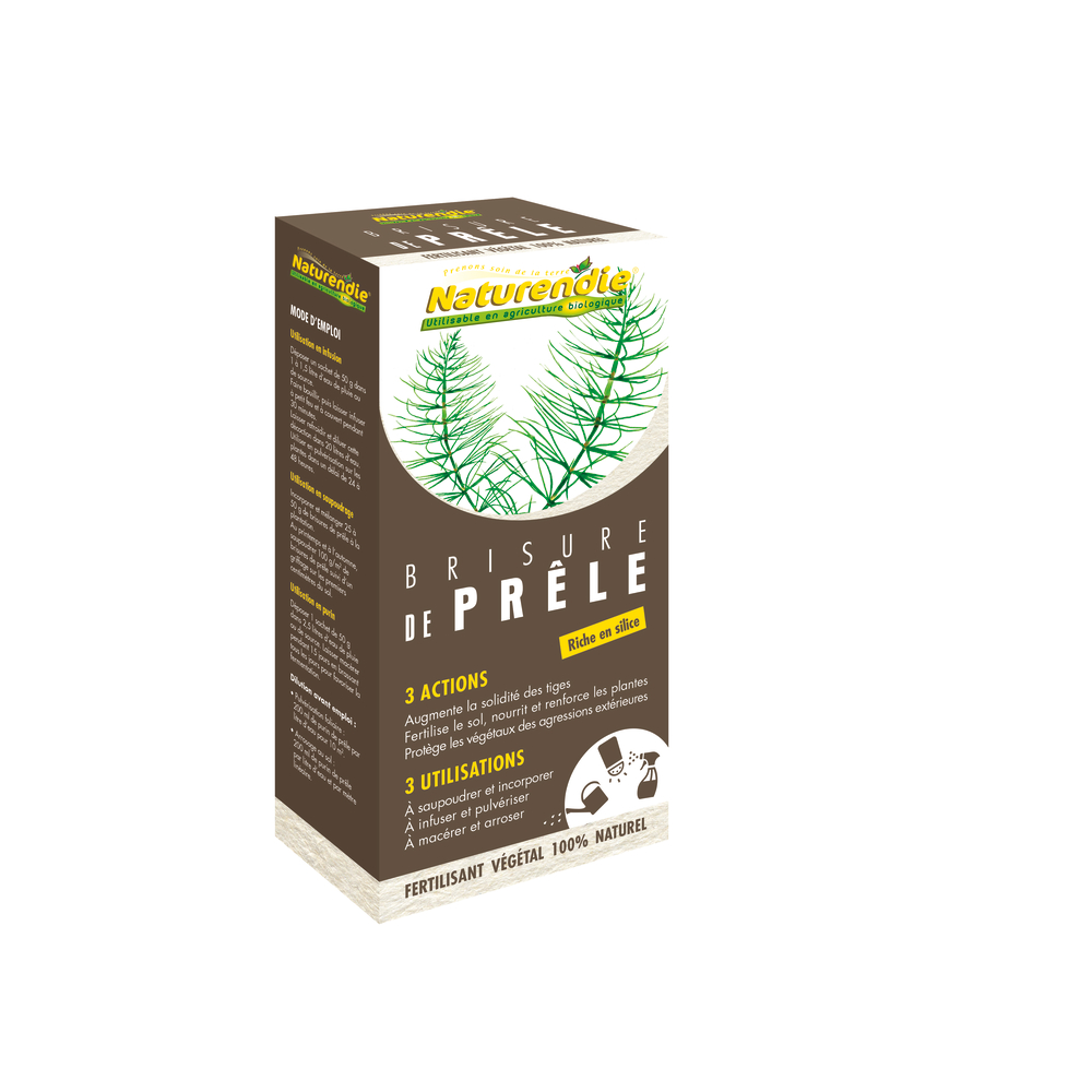 BRISURE DE PRELE-(948743)