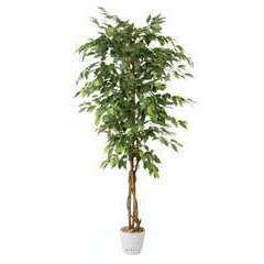 Ficus artificiel abai H 180 cm 1134 superbes