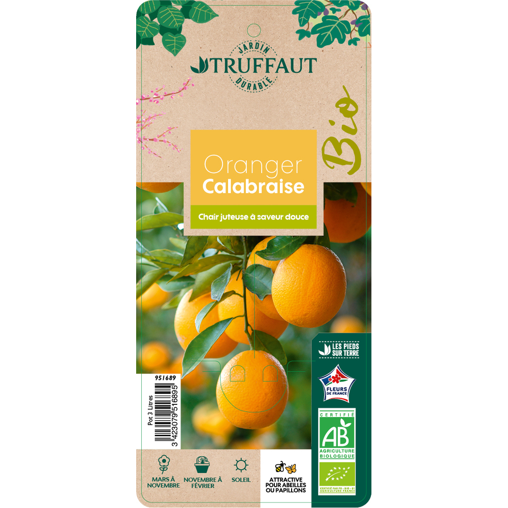 ORANGER CALABRAISE AB C3L PAC-(951689)