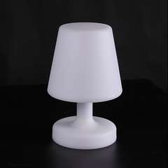 LAMPE DE TABLE LED
DIA 17x25cm