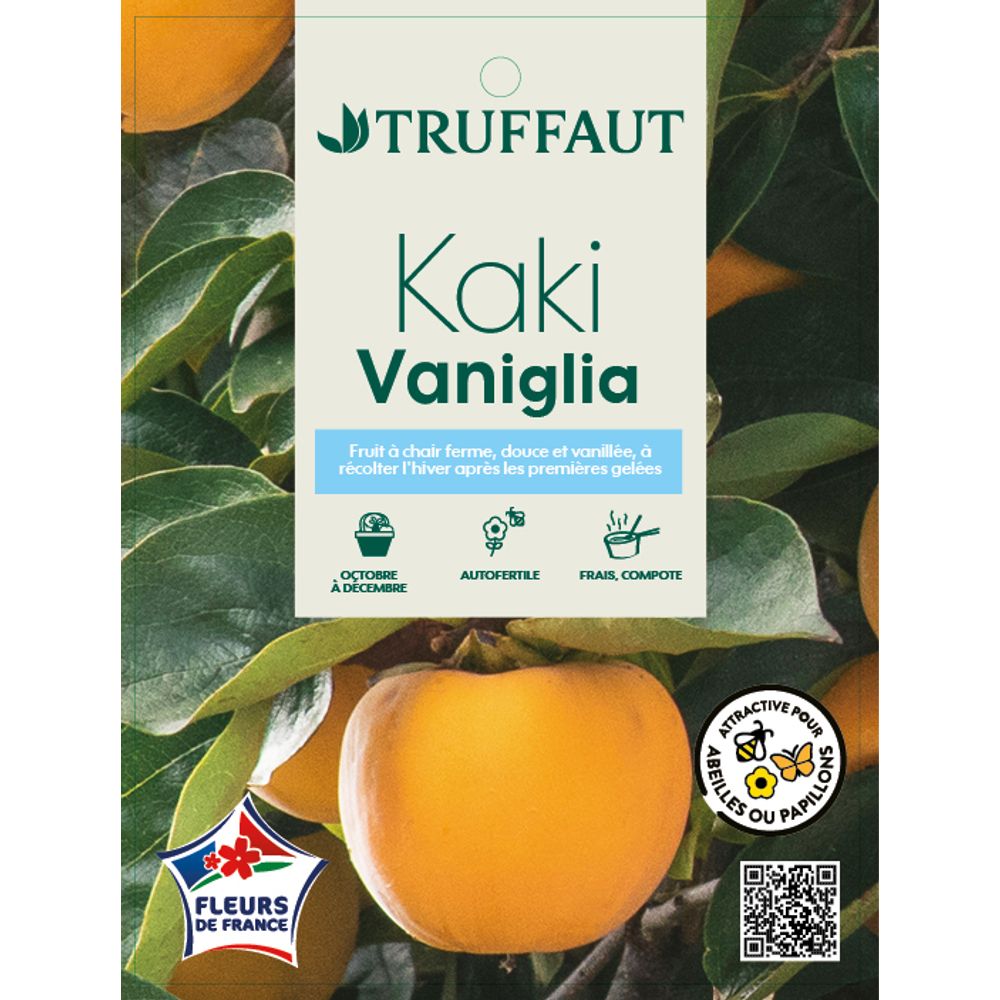 Kaki "Vanille" 1/2T pot 15L