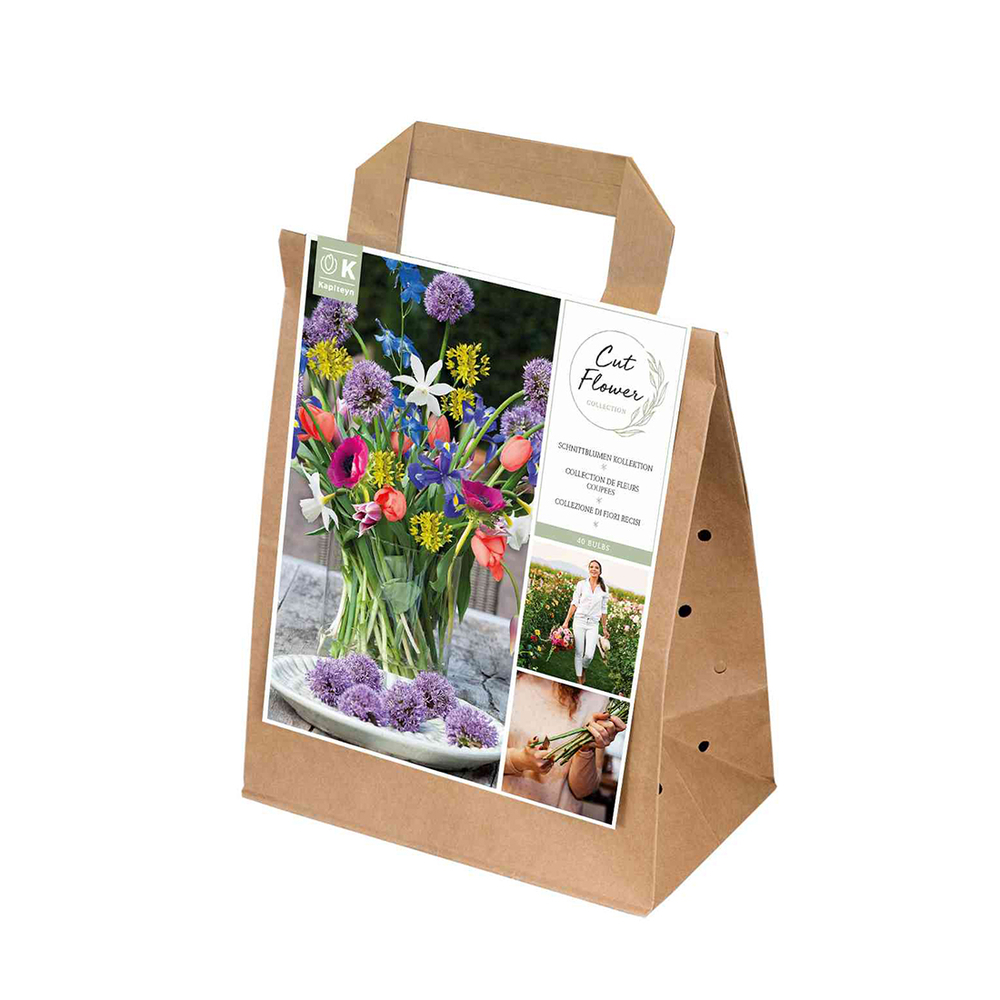 Bulbes Mix fleurs Coupées X40