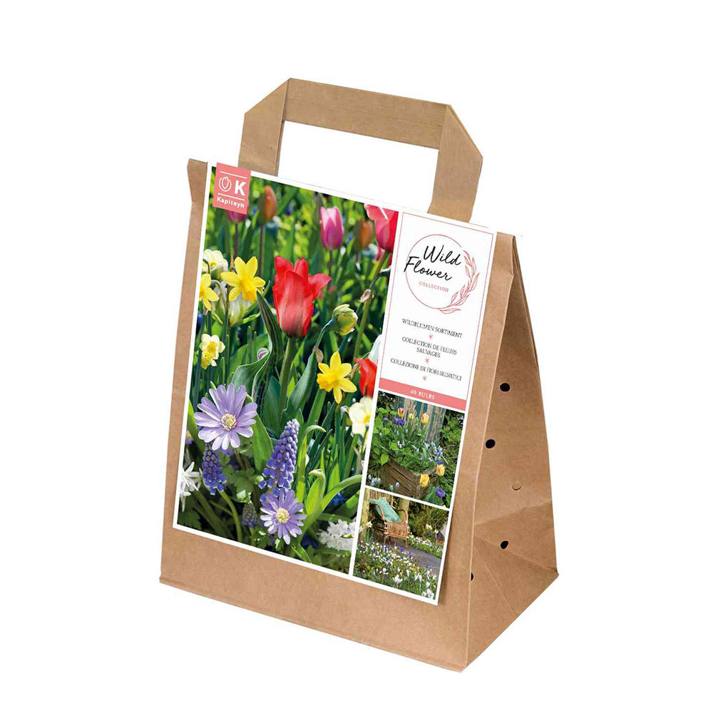 Bulbes Mix Fleurs Sauvages X40