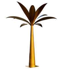 Palmier géant de jardin doré - H 2m