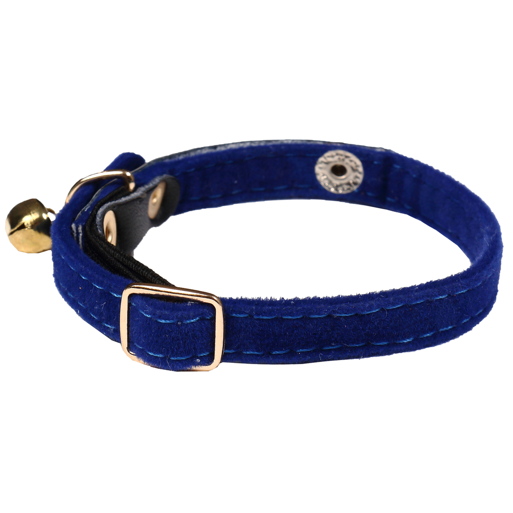 Col identité bleu pour chat