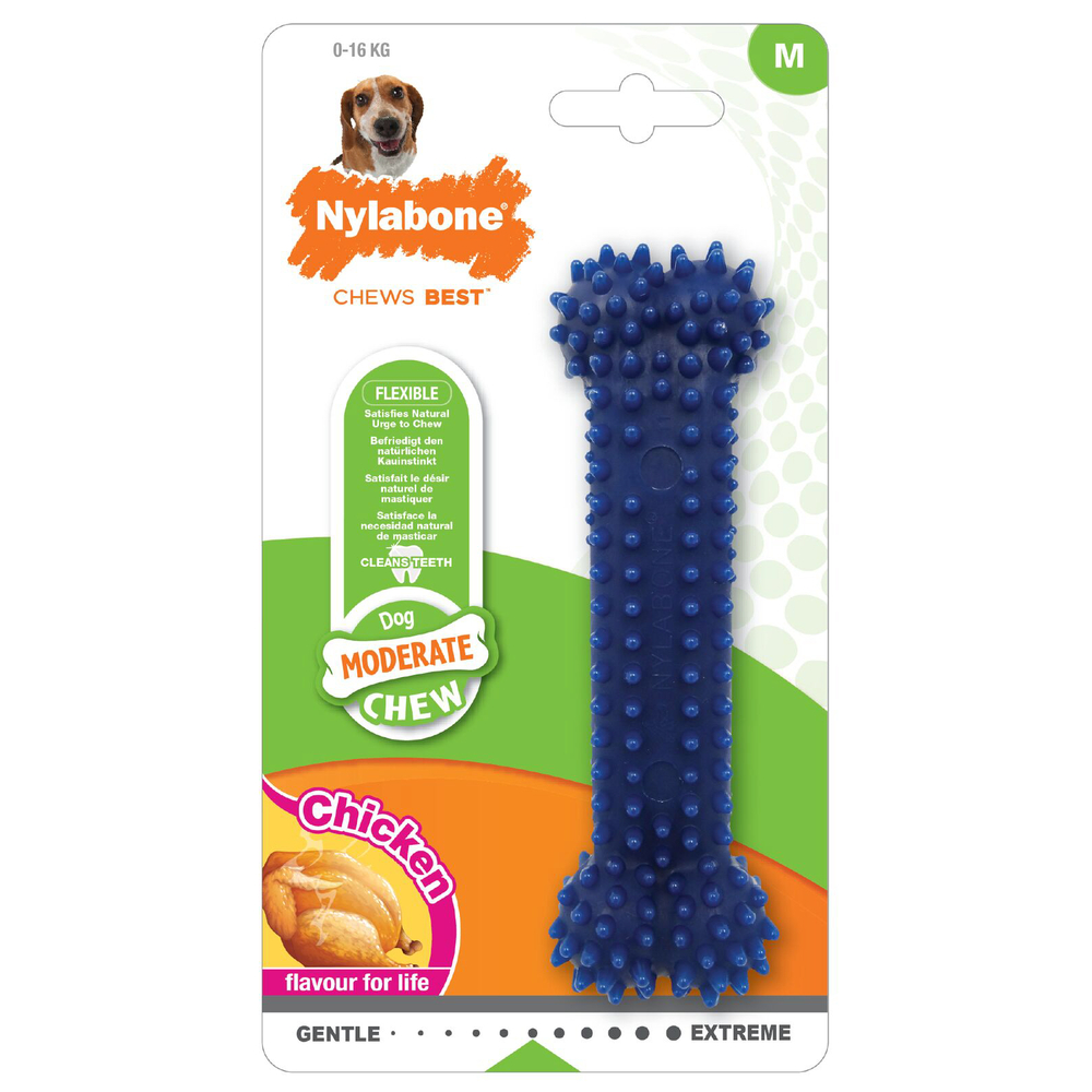 Jouet pour chien Nylabone chew goût poulet M