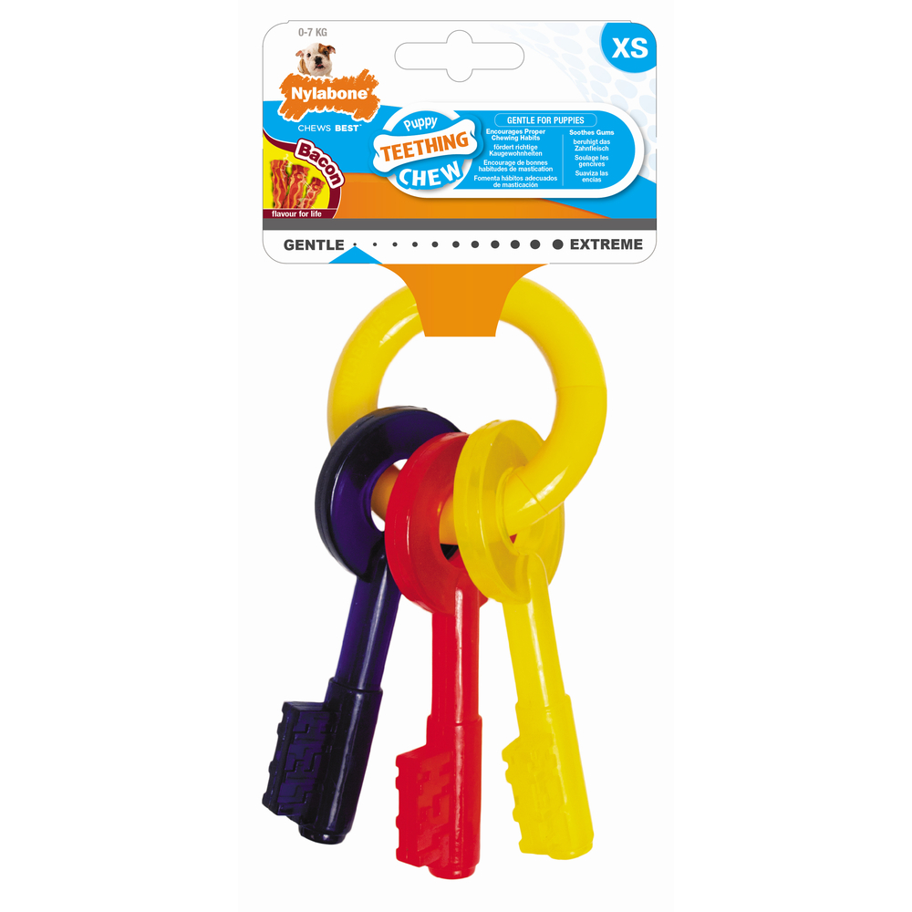 Jouet pour chiot Nylabone Teething dental goût bacon clefs XS