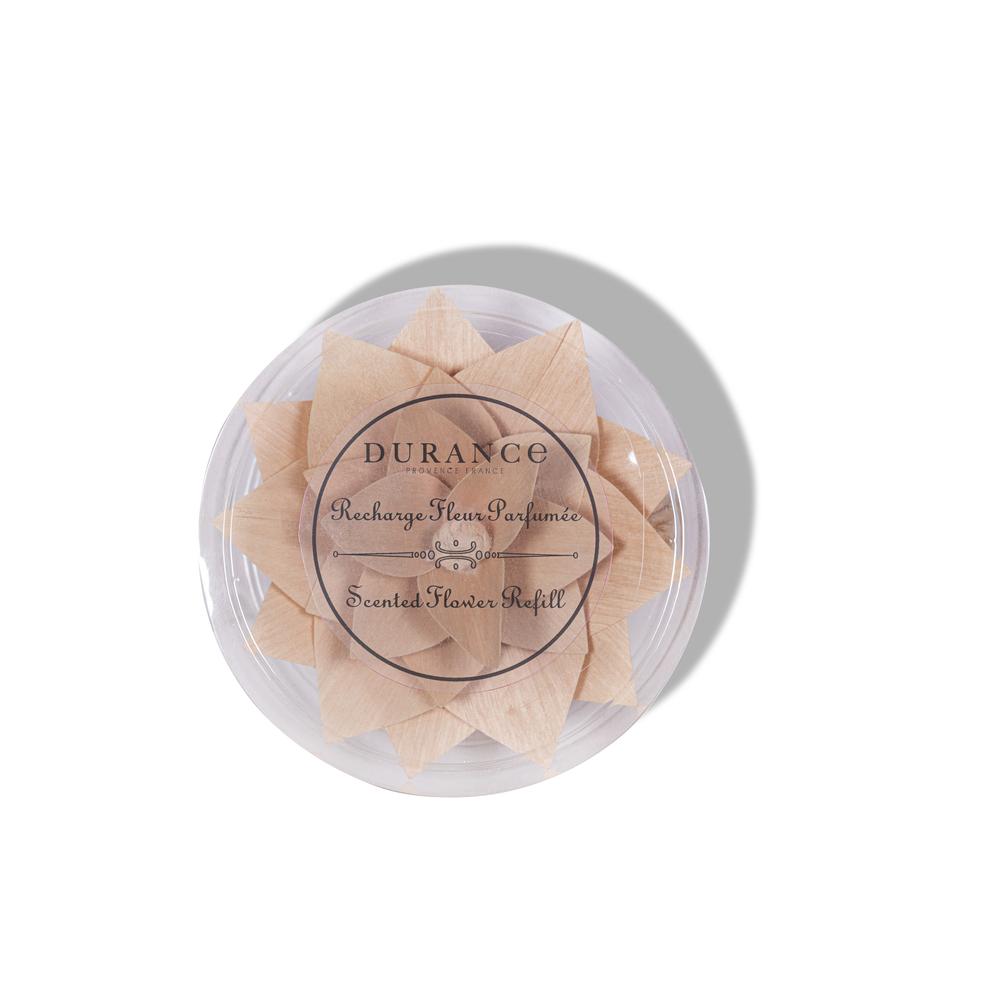 Fleur pour parfum d'intérieur en bois de bouleau