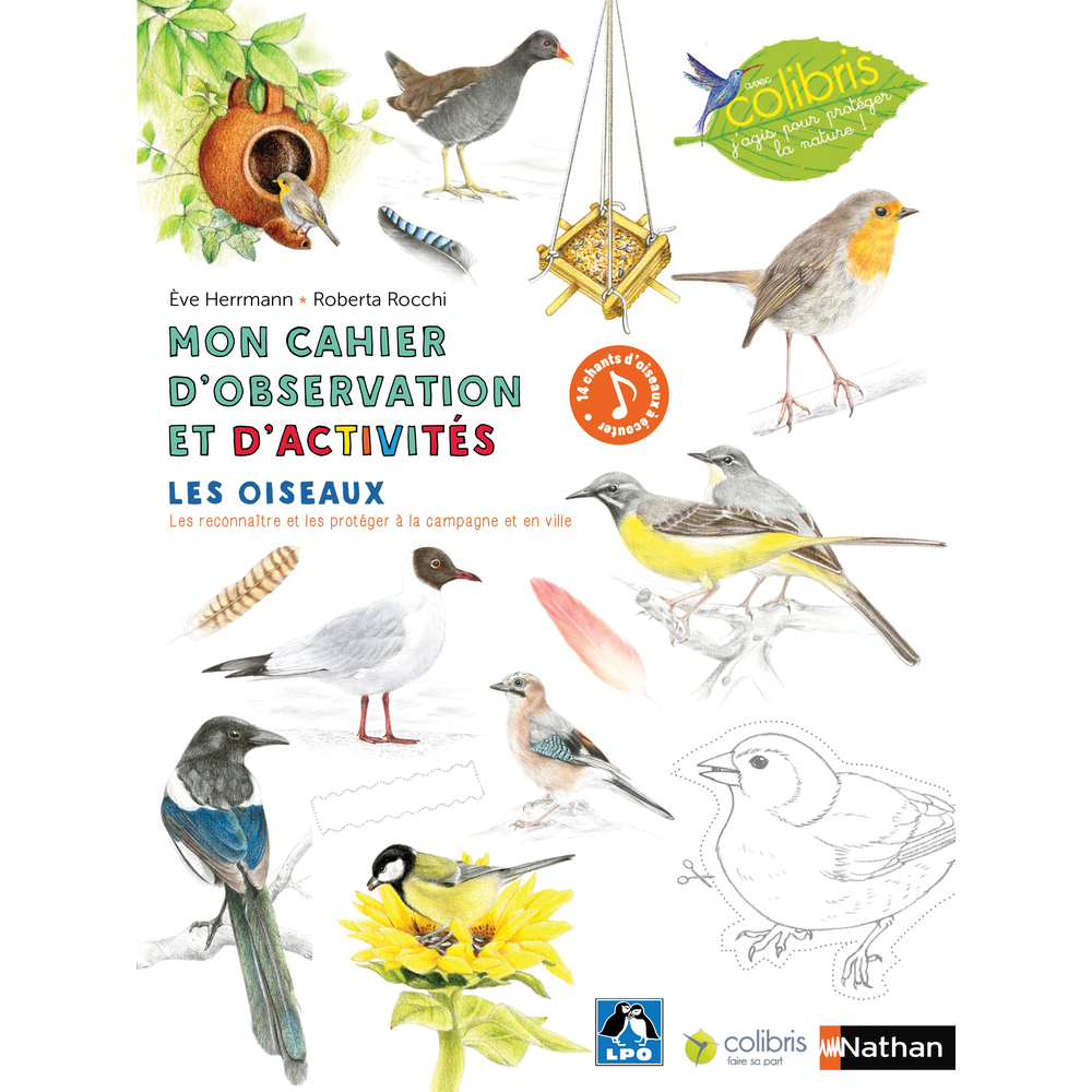 Cahier d'observation et d'activités pour enfant : Les oiseaux