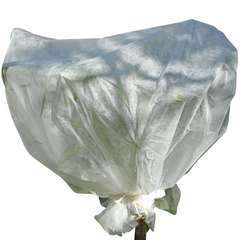 VOILE DHIVERNAGE PLANTES  2-(957204)