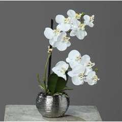 Orchidée phalaenopsis artificielle en pot céramique Crème - H30cm