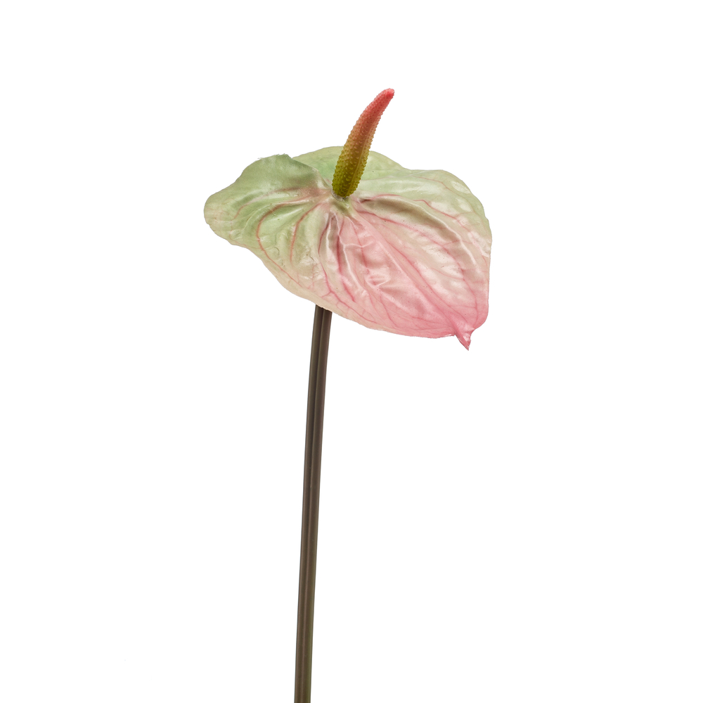 Fleur artificielle, tige d'anthurium - H.65cm