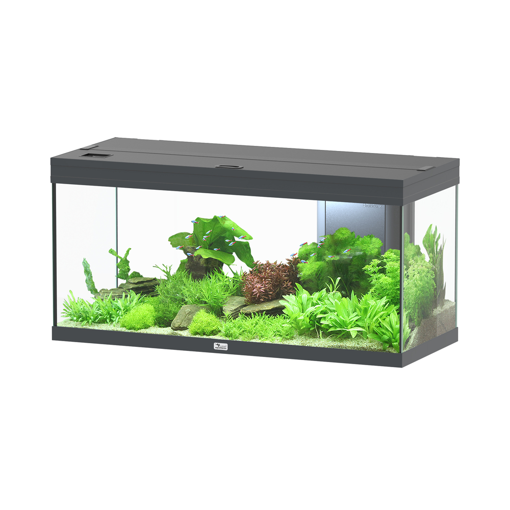 AQ. VOLGA 180 LED 2.0 EQP GRIS-(1012332)