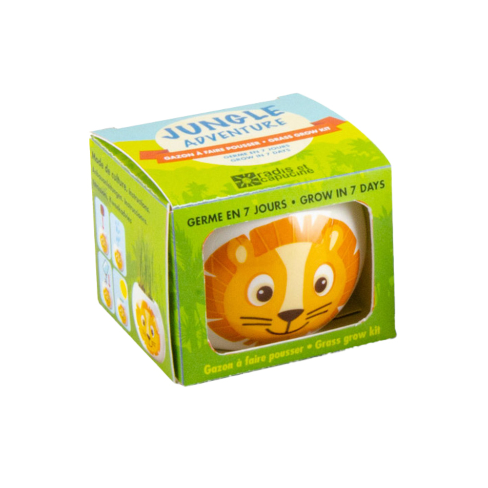 Graines de fleurs-Pot lion