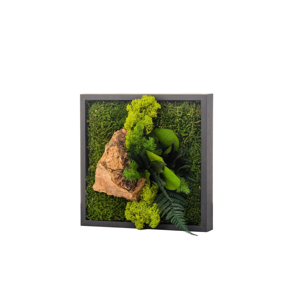 Cadre végétal stabilisé Canopé Mono