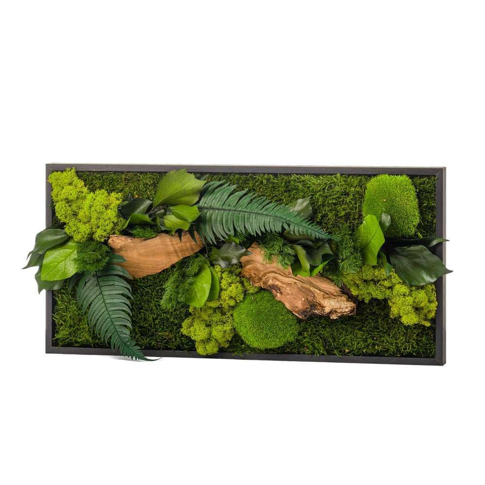 Cadre végétal stabilisé Canopé Rectangle