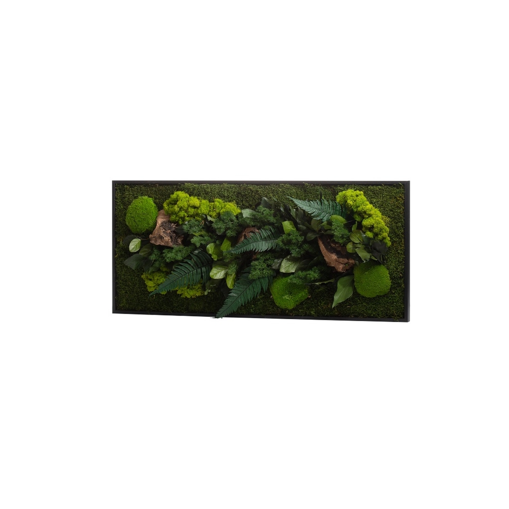 Cadre végétal stabilisé Canopé Rectangle L