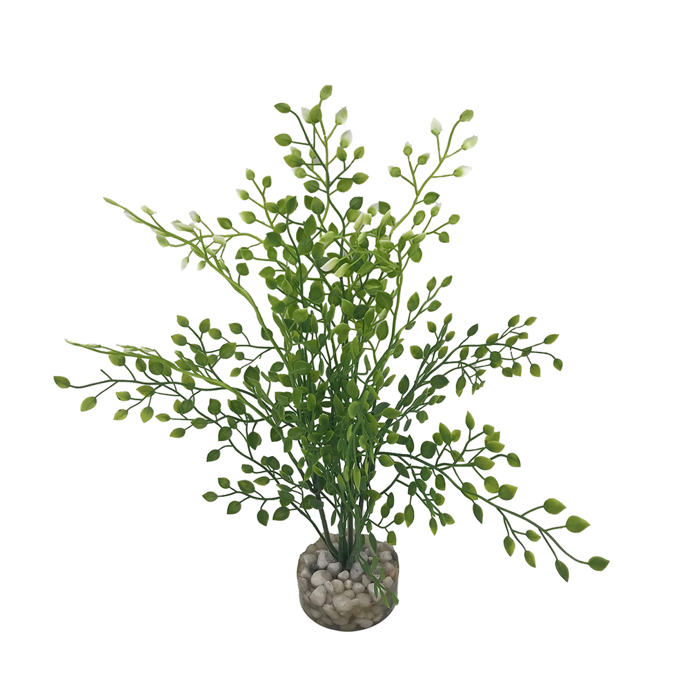 Plante artificielle pour aquarium, arbre lentille fine - H.27cm