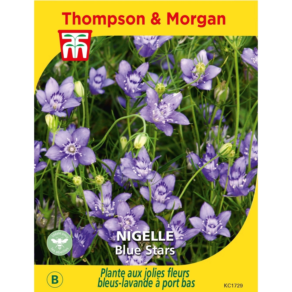 Graines de Nigelle Blue Stars