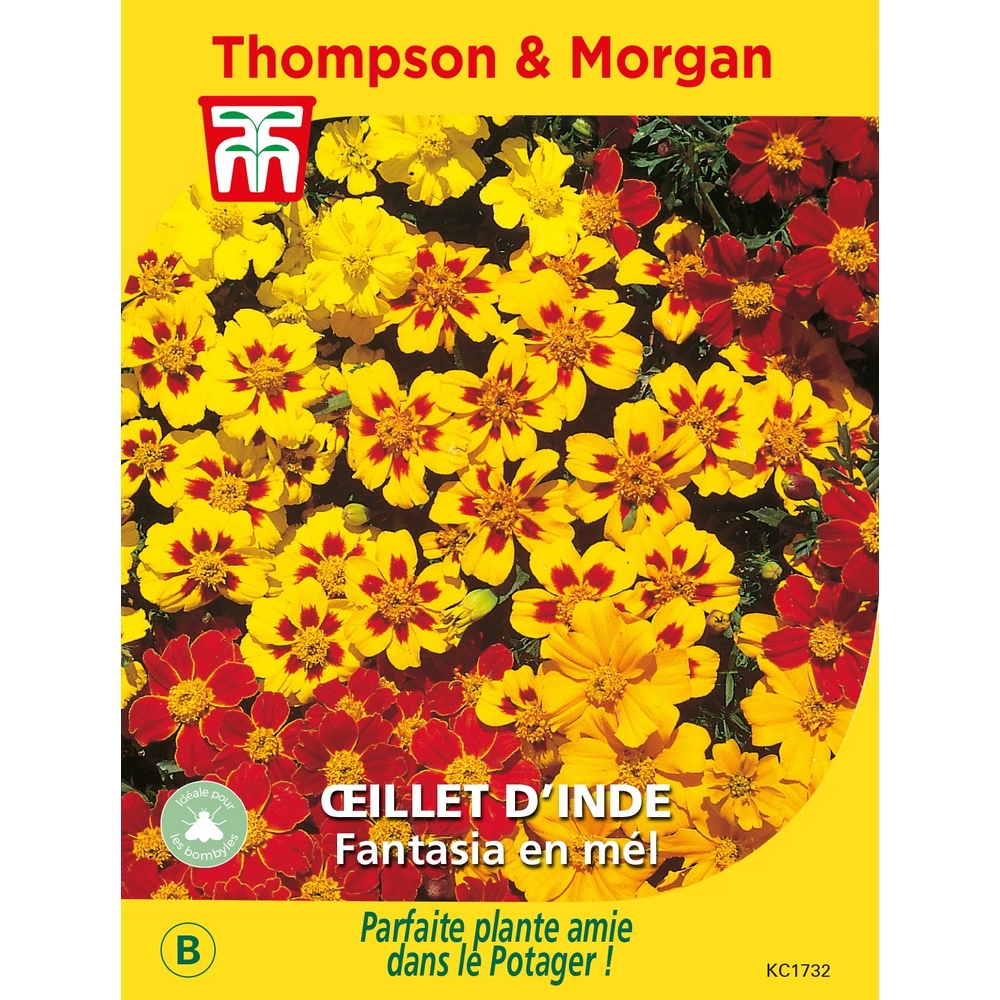 Graines d'Oeillet d'Inde Fantasia en mélange