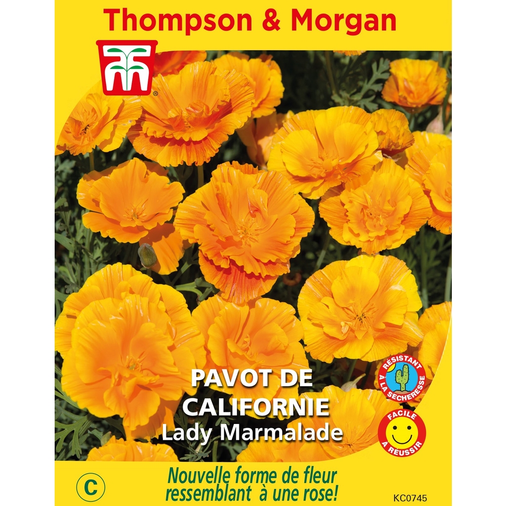 Yellow Korner　Fleurs De Pavot　60×80 Fleurs De Pavot, Flowers, MICHEL GANTNER · Art photographs