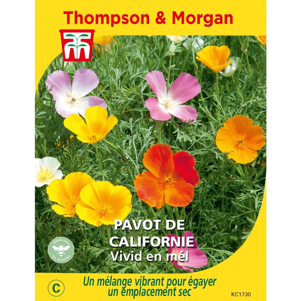 Graines de Pavot de Californie Vivid 