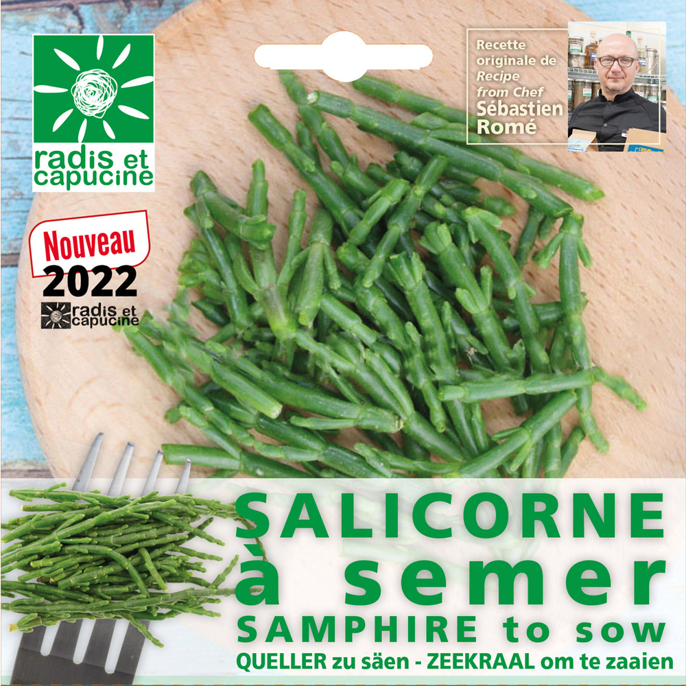 Sachet de graines de salicorne à semer