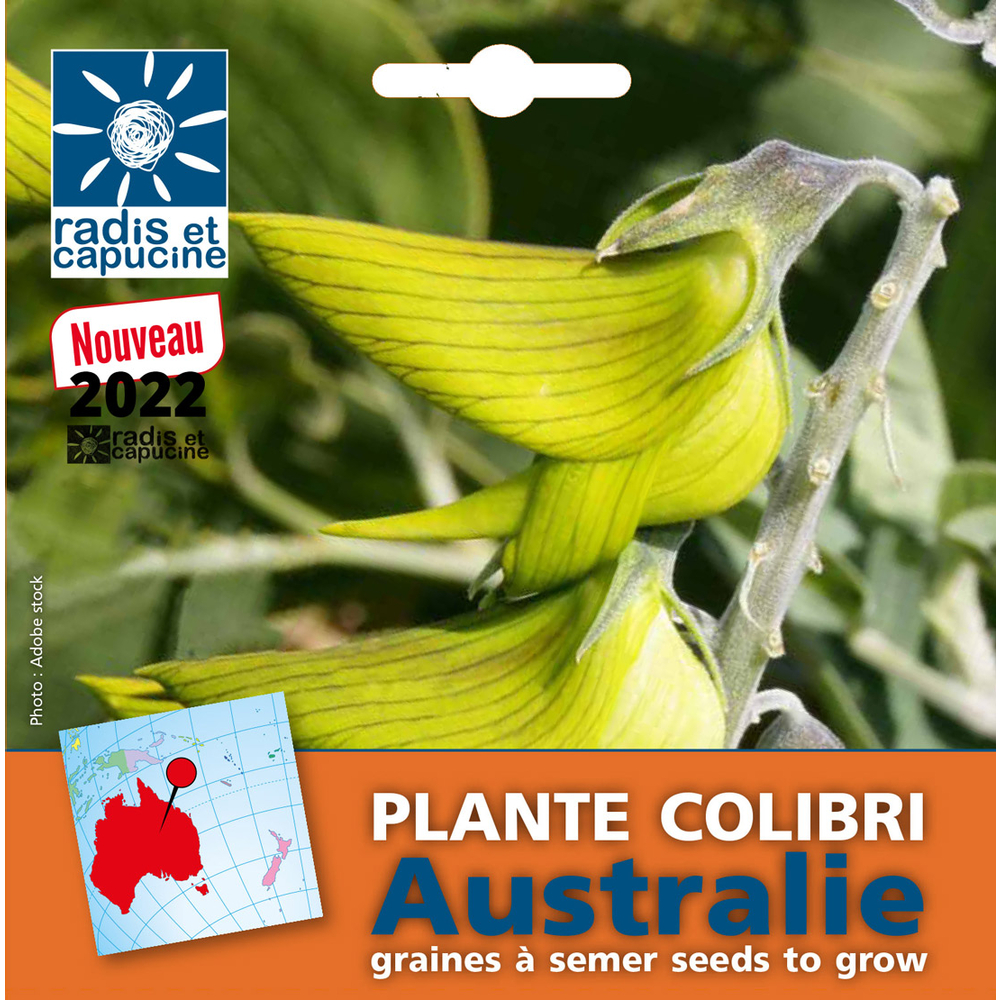 Sachet graines de plante Colibri à semer