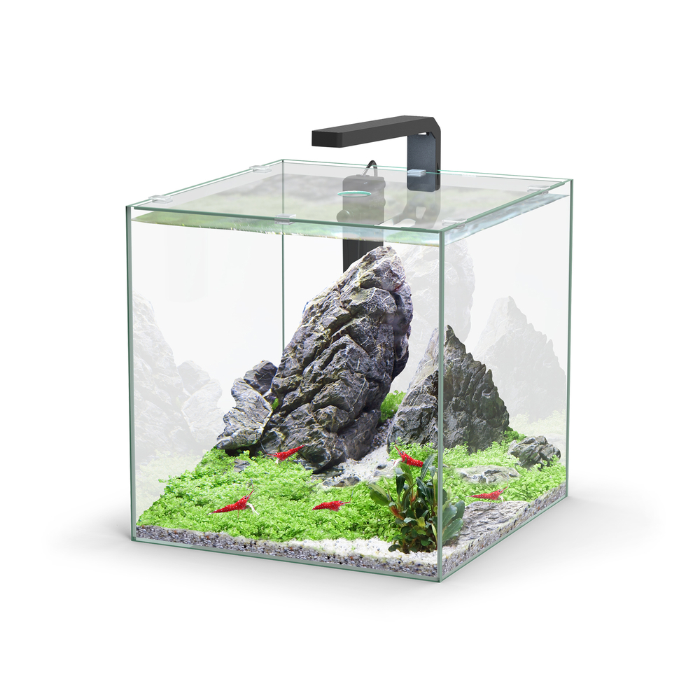 Entretien & soin de l'aquarium - Jardiland