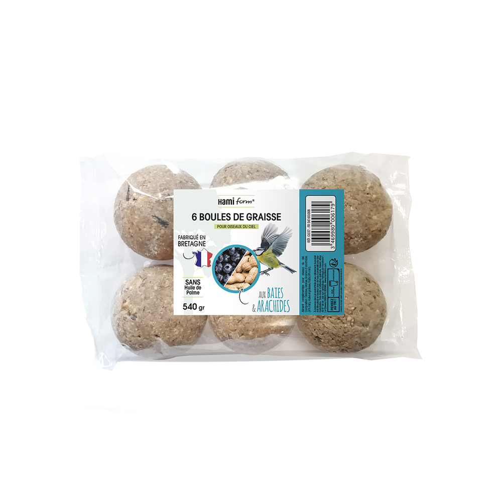 BOULES GRAISSE SAVEURS X6-(1022270)