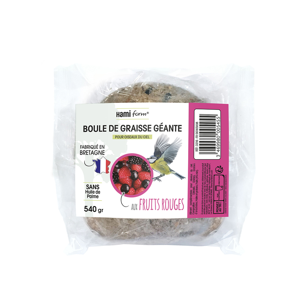 BOULES GEANTES FRUITS 540G-(1022274)