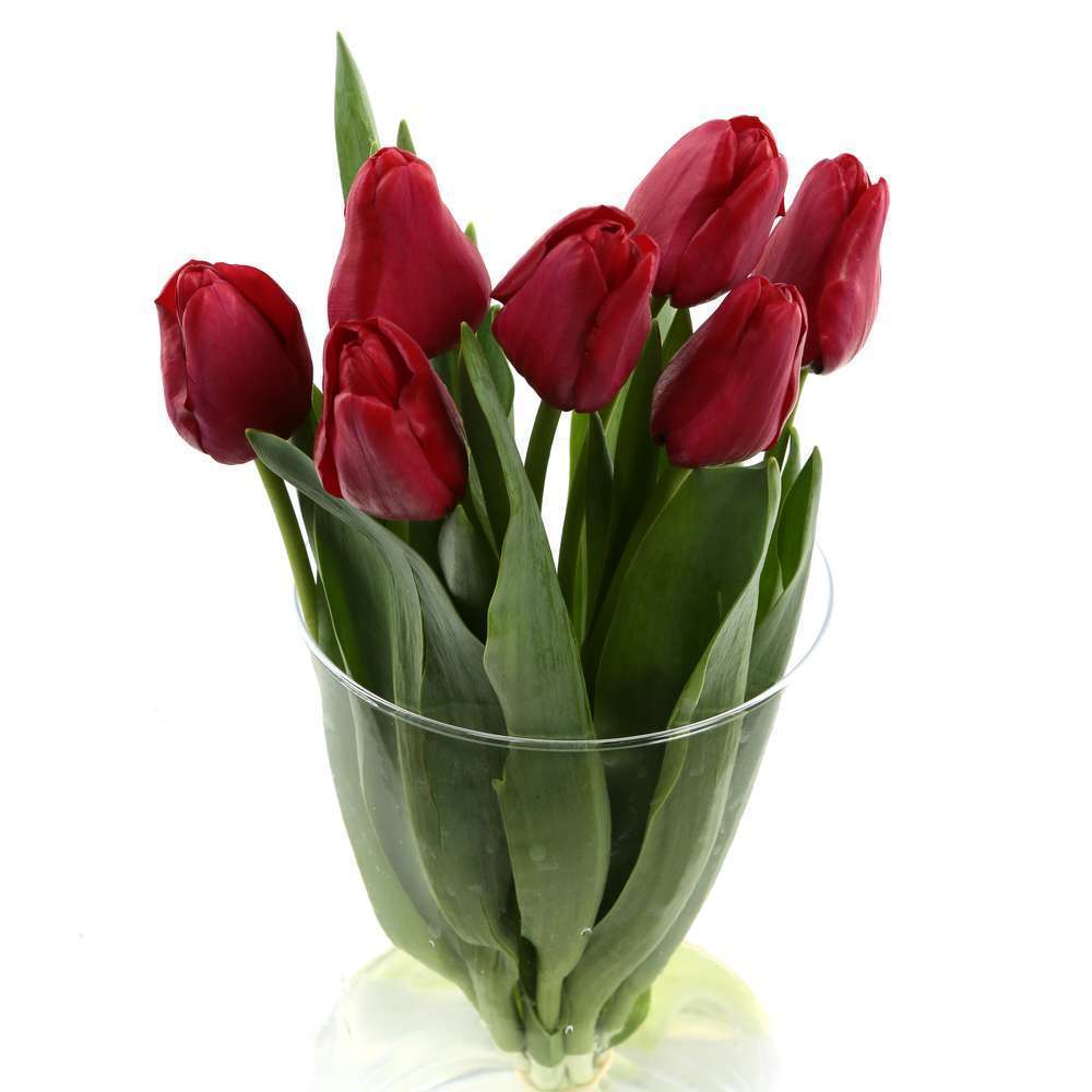 BOTTE 7 TULIPES VARIES H40 FDF-(1022478)