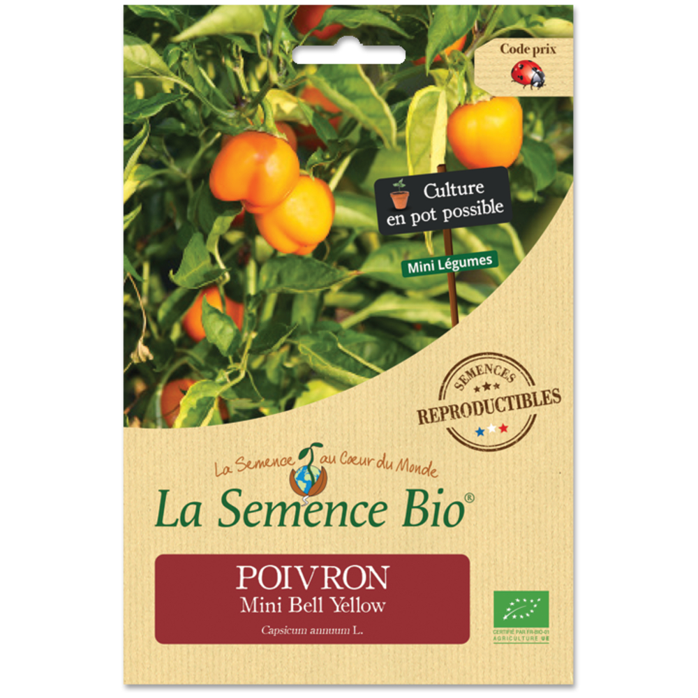 POIVRON MINI BELL YELLOW BIO-(1022922)