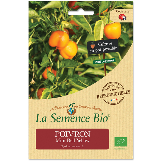 POIVRON MINI BELL YELLOW BIO-(1022922)