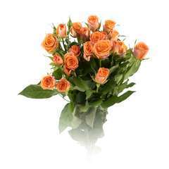 Botte 5 Roses branchues Kenya - Orange H50cm