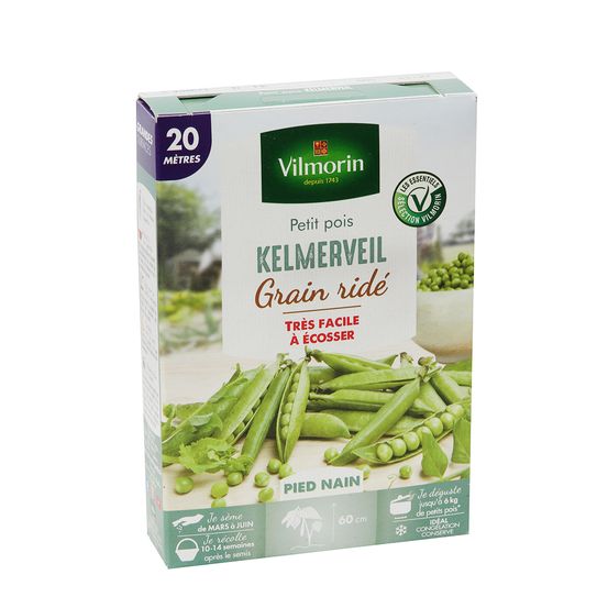 Graines de pois Kelmerveille