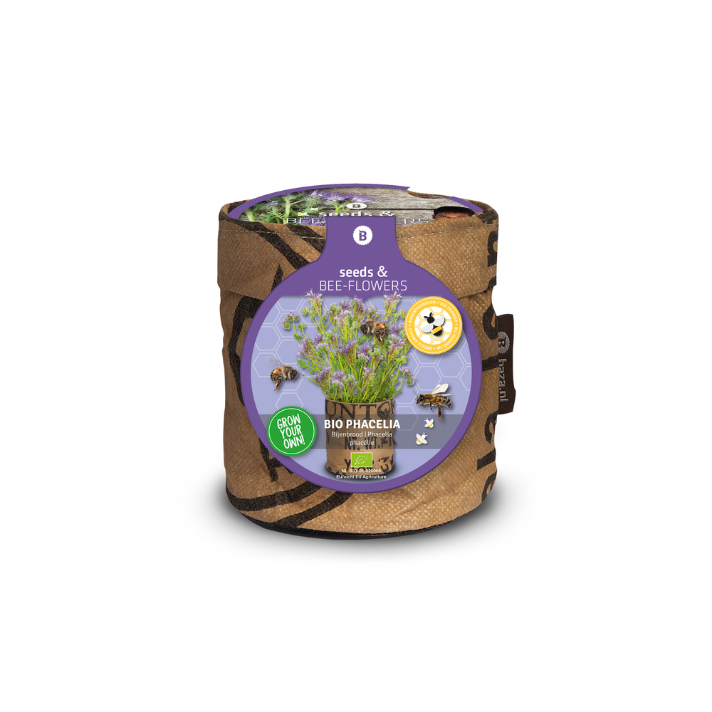 Graines de fleurs Abeilles Phacelie Bio