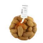 Plants de pommes de terre 'Normandeline' en filet x25