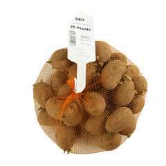 Plants de pommes de terre 'Zen' en filet x25