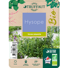 Plants d'hysope bio : pot 1 litre
